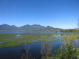 湖畔青山美景