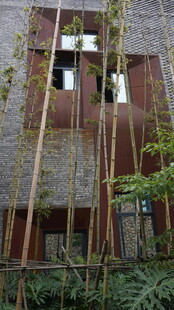 废弃建筑旁生长的绿植