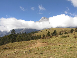 山间草地与远处云雾山峰