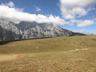 高山草原风光