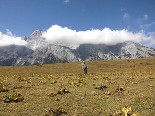 漫步草原望雪山