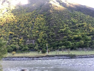 山间河畔的自然景致