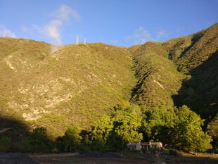 青山绿树间的美丽景致