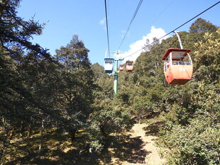 山间缆车穿梭于葱郁树林