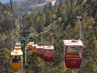 山间缆车穿梭于葱郁树林