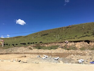 山坡下的垃圾堆积场景