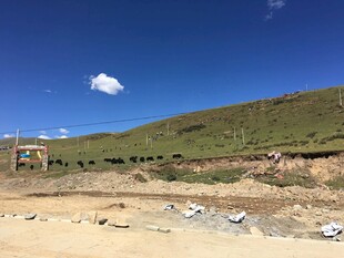 山坡下的垃圾堆放场景
