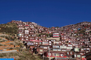 色达佛学院壮观红房景观