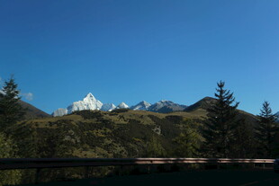 雪山松林美景