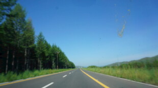 公路延伸向远方景色