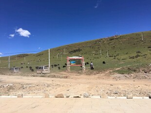 草原边的简易道路场景