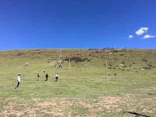 草原上的人群漫步景象