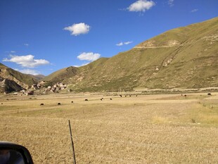 山间开阔原野风景