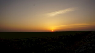 日落时分的广袤田野