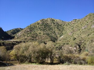 青山绿树间的开阔景致