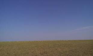 广袤草原上的晴朗蓝天