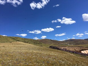 广袤草原上的蓝天白云