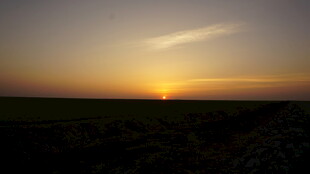 日落时分的广袤田野