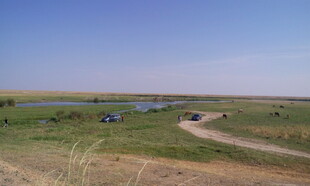 草原风光中的蜿蜒小路