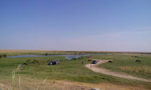 草原风光与蜿蜒小路