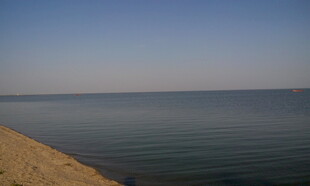 宁静湖畔的开阔水岸风光