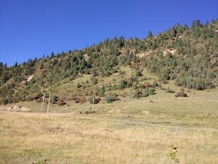 山坡草地蓝天自然景观