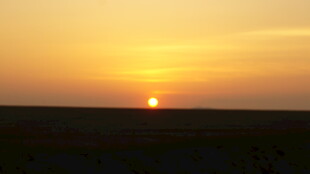 夕阳西下的广阔原野