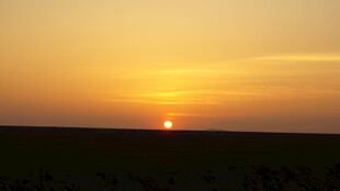 草原上的绝美落日景观