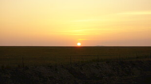 草原上的壮丽日落景观