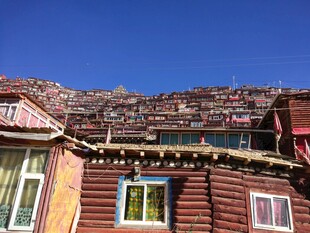 藏式木屋 蓝天映衬下的风情