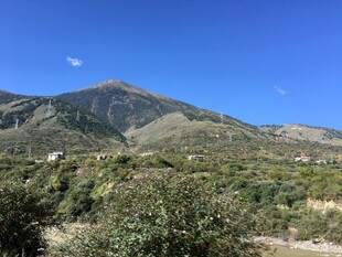 壮丽山景 绿意盎然