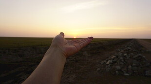 夕阳下摊开的手掌