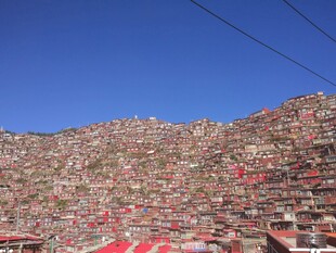 座无虚席的体育场看台