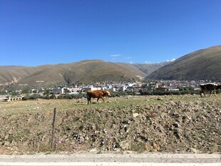 乡村田野与远山风景