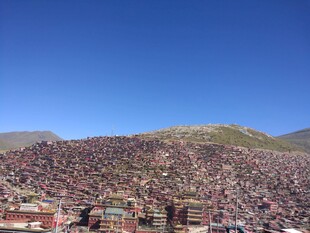 人山人海的露天场地