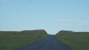 草原中的延伸公路