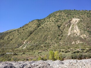 青山旷野风景图