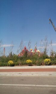 路边多彩花卉景观