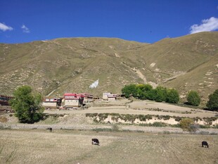 山间村落与放牧场景