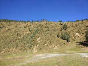 山间草地与蜿蜒小路
