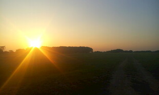 田野上的落日美景