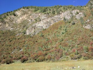 青山绿野的自然景致