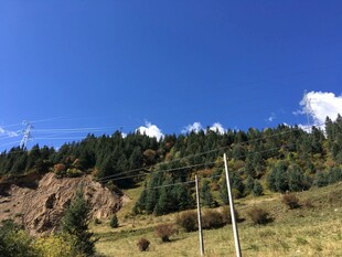 山间美景 蓝天绿树相映