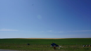 草原风光中的车辆与蓝天