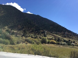 山间公路旁的秀丽自然景色