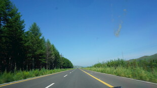 林间公路 通向远方