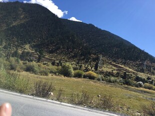 公路旁的青山与开阔景致