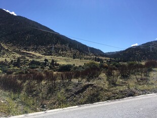 山间公路旁的自然景致