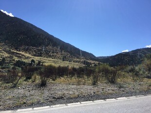 山间公路旁的开阔风景