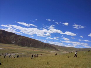 草原上的人群与蓝天白云